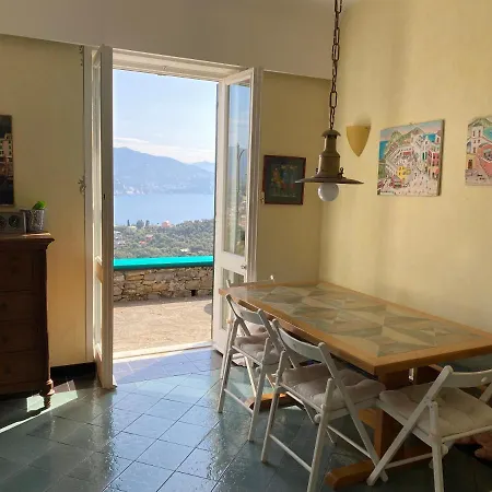 Solimano 50 *